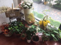 -明洞造型精品烫染