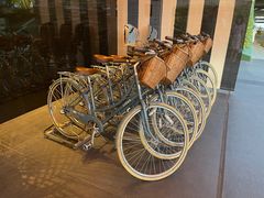 -新加坡文华东方酒店