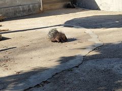 -昆明动物园