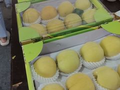 -南汇水蜜桃采摘(大团店)