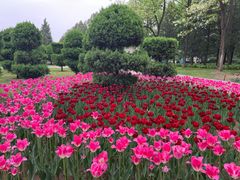 -北京世界公园