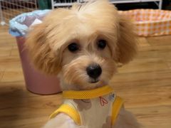 -瑞派蒂凯宠物医院·免疫点·宠保定点