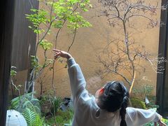 -觀芷隐轩