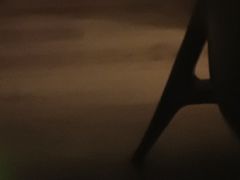 -楚山晓·楚湘菜(江夏永旺店)