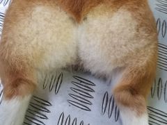 -小梁哥云吞面(黄贝岭店)