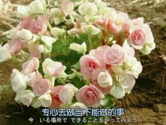 -提老炮儿烧烤(南山店)