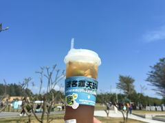 -露天矿生态公园