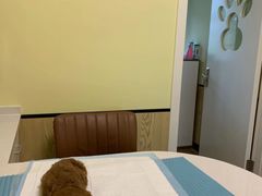 -派联宠物医院·24h·CT·异宠