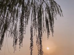 -丁香湖公园