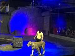 -清迈夜间动物园