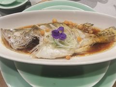 -十八棵（老龙井）御茶园(老龙井店)