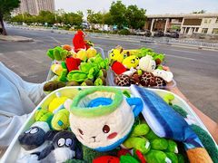 -快乐小羊(富强中路店)