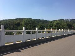 -羊山湖公园