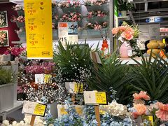 -宜家家居(高新商场店)