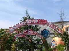 -巴克创奇梦工厂
