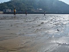 -小皓村