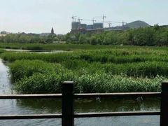 -前关湿地公园