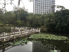 -大埔公路-马料水段香港中文大学(公交站)