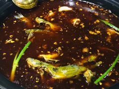 -金海椒罐罐鲢鱼(东方桂苑店)