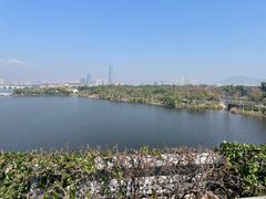 -厦门园林博览苑