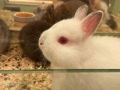 -龙猫仔乐园(惠福东路店)