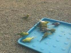 -萌宠亲子动物乐园(槐房万达店)