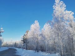 -北极村旅游风景区
