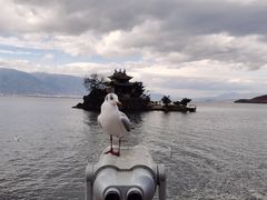 -小普陀