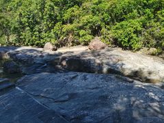 -广州白江湖森林公园