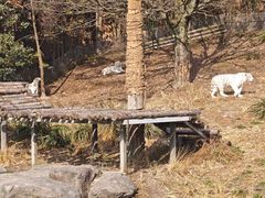 -宁波野生动物园