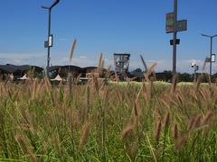 -中国天府农业博览园