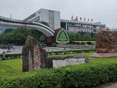 -南山老地方泉水鸡(南山店)