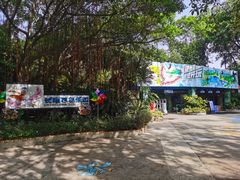 -广州长隆飞鸟乐园