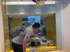 -KIDults童伴儿亲子餐厅(达美中心广场店)