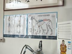 -派美特宠物医院·核磁CT·骨科肿瘤·疑难转诊(沈农禾丰店)
