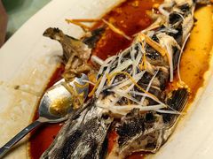 -老山东·山东菜(鲁菜名店)