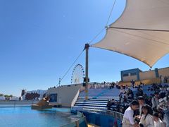 -秦皇岛乐岛海洋王国