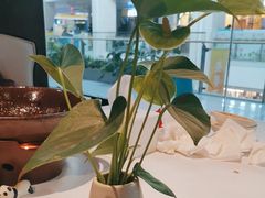 -眉州东坡(华联万柳店)