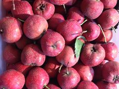 -老炳·七丛松甘草水果