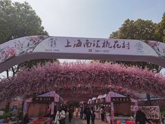 -南汇桃花村