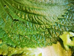 -金韩雅·烤肉·烤活鳗鱼(万达店)