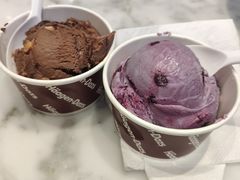 -哈根达斯(朝阳大悦城店)