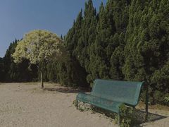 -南沙蒲洲花园