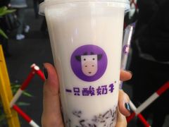 -一只酸奶牛(八一路店)