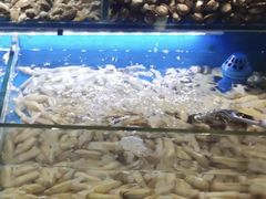 -欢乐牧场·海鲜烧烤涮自助餐(蚌山万达店)