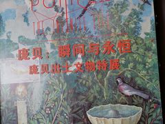 -盘龙城遗址博物院