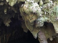 -怀托摩萤火虫洞