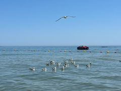 -那香海钻石沙滩浴场