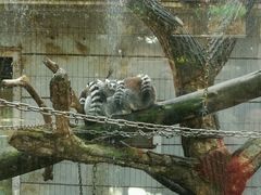 -昆明动物园