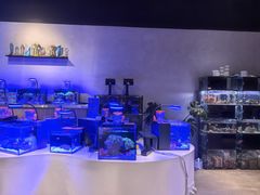 -瑞虹新天地月亮湾